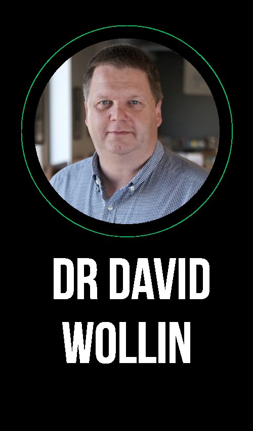 Mr David Woollin